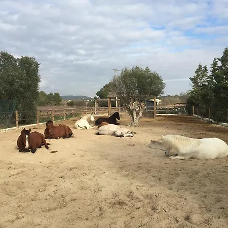 Cal Tofol Casa de Campo Vilafranca del Penedès