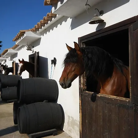 Casa de Campo Cal Tofol Vilafranca del Penedès